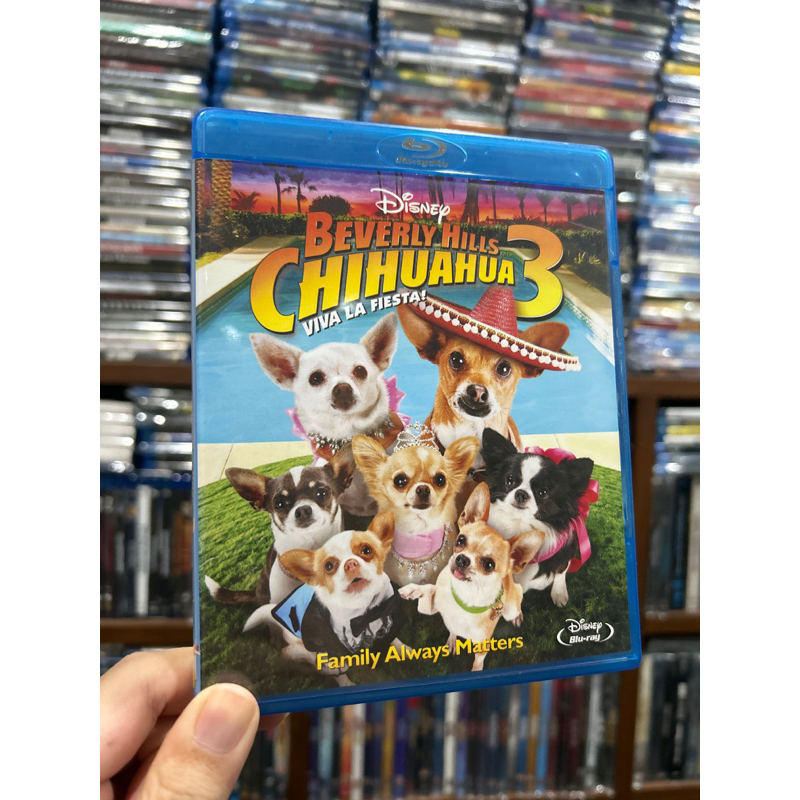 chihuahua-3-blu-ray-แท้-เสียงไทย-บรรยายไทย