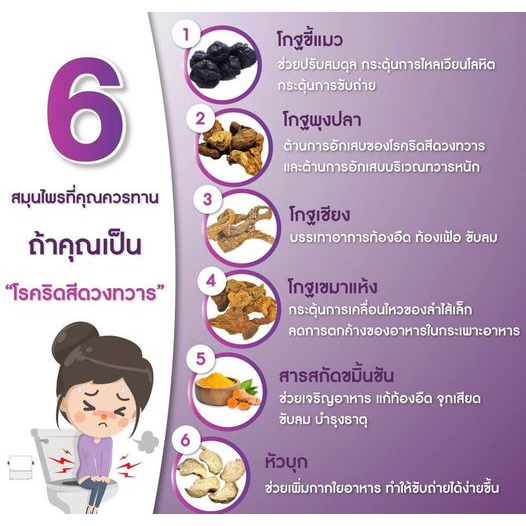 ริดจิ-2-กล่องแถม-1-กล่อง-พร้อมส่ง-ridji-ริดจิ-ดูแลเรื่องริดสีดวงทวารหนัก