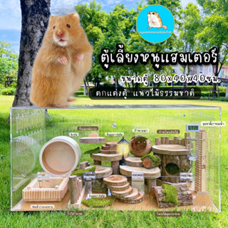 กรงอะคริลิค🐹สำหรับเลี้ยงหนู ขนาด80ซม. แฮมเตอร์ แฟตเทลเจอร์บิล/ตู้อะคริลิค บ้านสัตว์เลี้ยง กรงหนู งานไม้ ของแต่งกรง