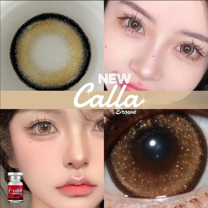 สุดปัง-ค่าสายตา-600-contact-lens-คอนแทคเลนส์-บิ๊กอาย-สุดปัง-รายเดือน-มีอย-แถมตลับฟรี-เลนส์นิ่ม