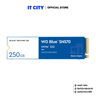 WD BLUE SN570 250GB SSD NVMe M.2 2280 (WDS250G3B0C) (5Y) MS6-000164 เอสเอสดี