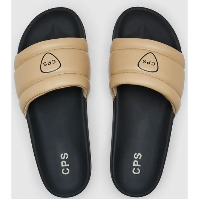 cps-chaps-logo-padded-slides