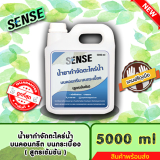 SENSE (แถมฟรีถุงมือ) น้ำยากำจัดตะไคร่น้ำบนคอนกรีต,บนกระเบื้อง,บนทรายล้าง (สูตรเข้มข้น) ขนาด 5000 ml ++สินค้าพร้อมส่ง++