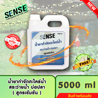 SENSE (แถมฟรีถุงมือ)น้ำยากำจัดตะไคร่น้ำสระว่ายน้ำ,ตะไคร่น้ำบ่อปลา (สูตรเข้มข้น) ขนาด 5000 ml ++สินค้าพร้อมส่ง++