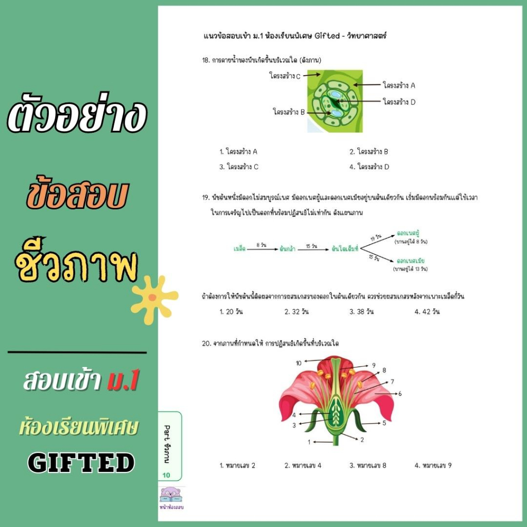 set-a-ชุดข้อสอบวิทย์-100ข้อสอบ-gifted-3-เล่ม