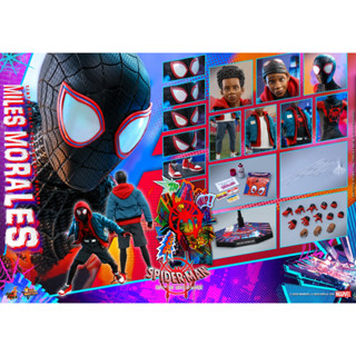 Hot Toys MMS567 Spider-Man Into the Spider-Verse 1/6 Miles Morales (KU)