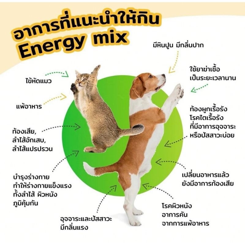 energy-mix-probiotic-โปรไบโอติก-สำหรับสุนัขแมว-ช่วย-ระบบทางเดินอาหารและอื่นๆ