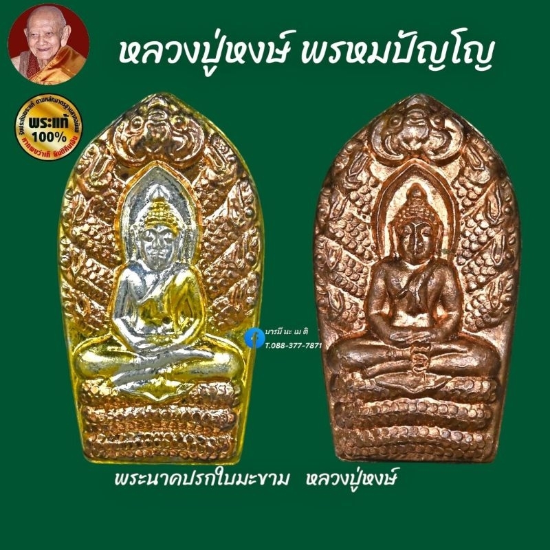 พระนาคปรกใบมะขาม-หลวงปู่หงษ์