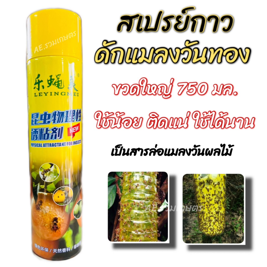 สเปรย์ล่อแมลงวันทอง-ขนาด-750ml-ขวดใหญ่มาก-สารล่อแมลงวันทอง-แมลงวันทอง-แมลงวันผลไม้