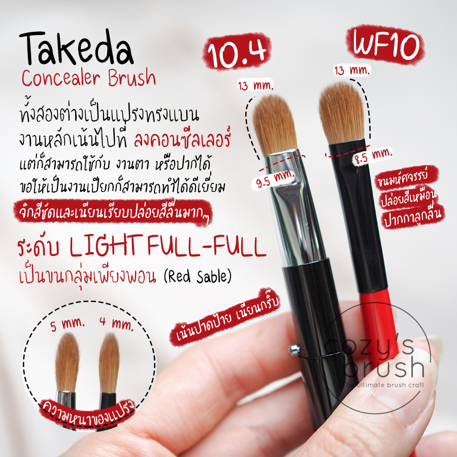 takeda-wf10-concealer-brush-prs