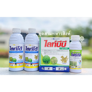 ชุดสามทหารสิงห์ (ไลท์โด้+โฟกัส+ไลท์บีบี) (ชุด 10ไร่) ✅ สินค้าผลิตใหม่  ของแท้แน่นอน 💯