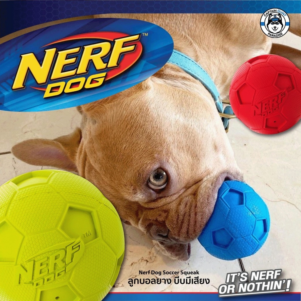 nerf-dog-soccer-squeak-ball-ของเล่นสุนัข-ลูกฟุตบอลเคี้ยวมัน-กัดมีเสียง-เนื้อยางผสมไนล่อน