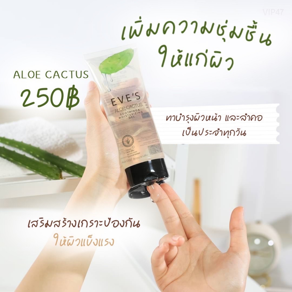 eves-aloe-cactus-soothing-amp-moisturizing-gel-อโลแคคตัส-เติมความชุ่มชื้นให้ความสดชื่นสบายผิว-ลดอาการบวมแดงจากแสงแดด