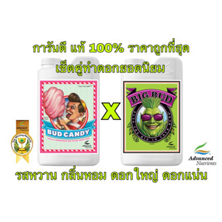 Advance Nutrition (Bud Candy x Big Bud) ปุ๋ยเสริม เพิ่มกลิ่นหอม เพิ่มรสชาติ x ดอกใหญ่ ดอกโต แน่น ผลผลิตสูง