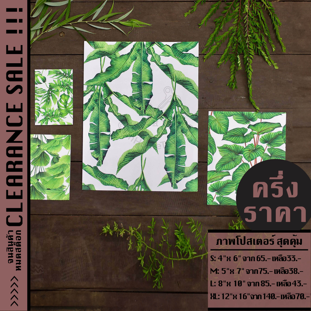 *Clearance* Reprint Poster รูปพิมพ์ชุดทร็อปปิคอล | รูป ภาพ พิมพ์ โปสเตอร์ กรอบ รูป ตกแต่ง ติด บ้าน ผนัง โปสการ์ด การ์ด อ
