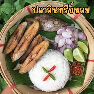 ปลาอินทรีย์หอมหั่นชิ้น และปลาอินทรีหอมตัว