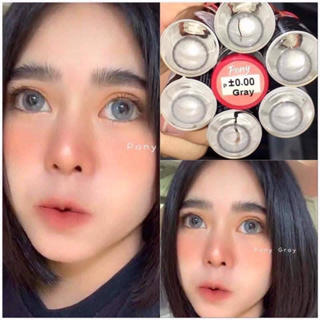 ✨Gray ขนาดตาโต (Bigeyes) เลนส์กรองแสง uv ✔️จดทะเบียนถูกต้อง 🇰🇷เลนส์สัญชาติเกาหลี🇰🇷