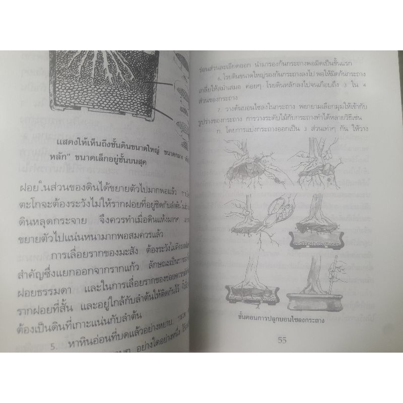 คู่มือการปลูกเลี้ยงบอนไซ-โดย-สมาน-ศรีปราโมช-ครบทุกเรื่องเกี่ยวกับบอนไซ