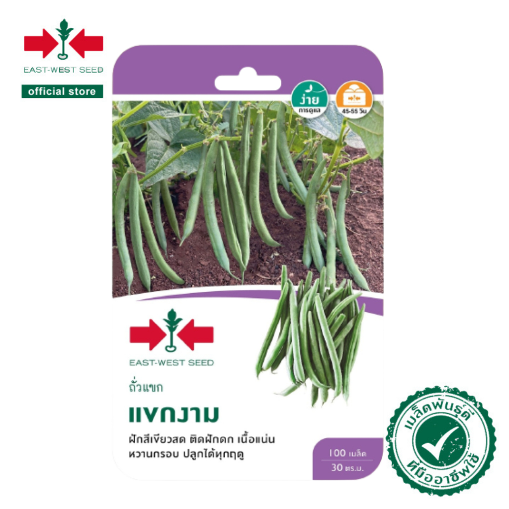 ศรแดง-เมล็ดพันธุ์ถั่วแขก-แขกงาม-east-west-seed-เมล็ดพันธุ์-ผักสวนครัว-ตราศรแดง