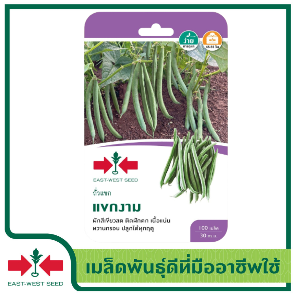 ศรแดง-เมล็ดพันธุ์ถั่วแขก-แขกงาม-east-west-seed-เมล็ดพันธุ์-ผักสวนครัว-ตราศรแดง