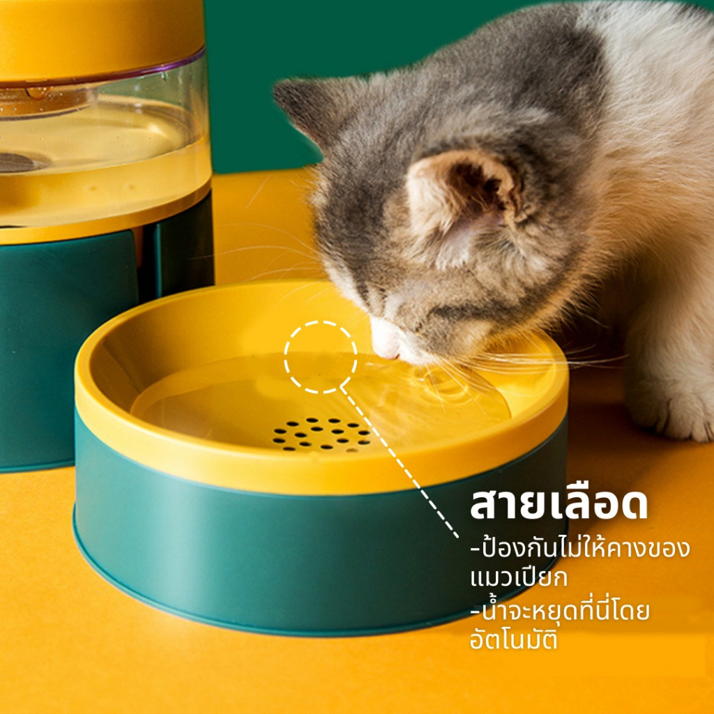 เครื่องป้อนอาหารสัตว์เลี้ยงน้ำดื่มเครื่องดื่มชามตู้กรงแมวสุนัข-pet-food-feeder-water-drinker