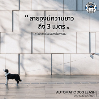 PANDO Automatic Dog Leash แพนโด้ สายจูงสุนัขอัตโนมัติ