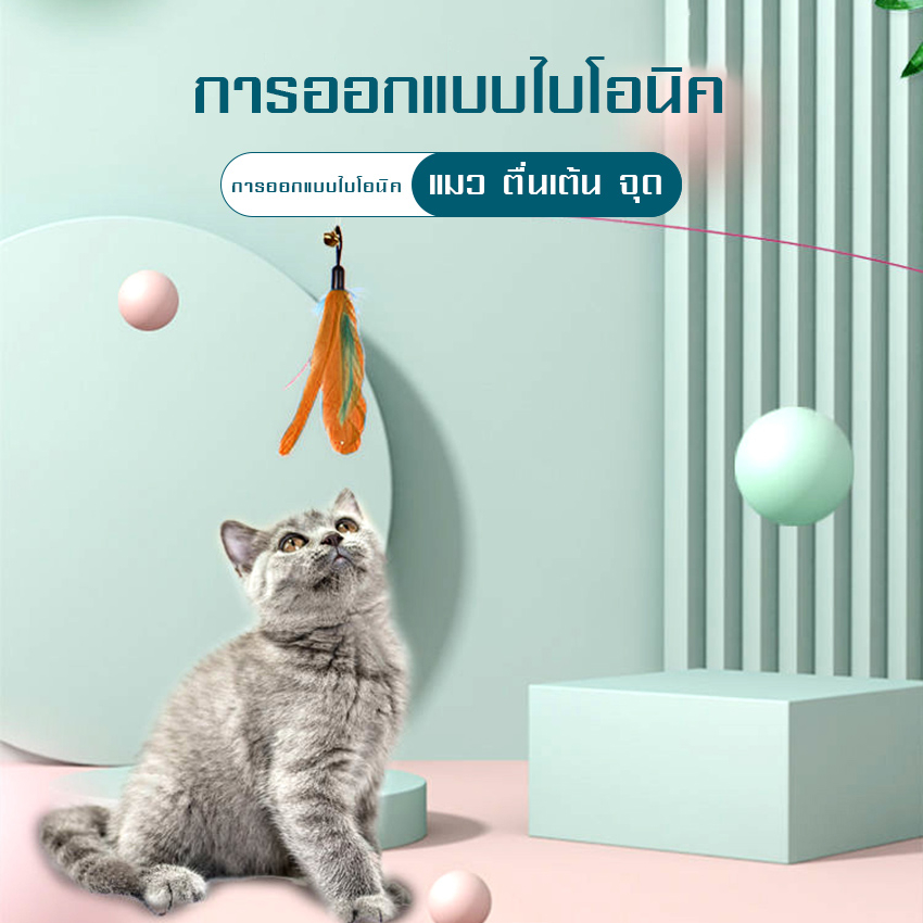 ไม้ล่อแมวสปริง-ไม้ตกแมวแบบสปริง-ของเล่นไม้กายสิทธิ์-แบบขนนก-ของเล่นสัตว์เลี้ยง