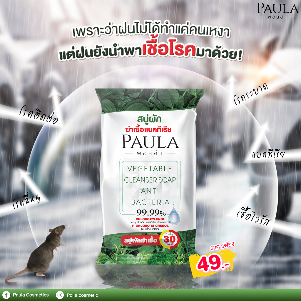 สบู่ผักฆ่าเชื้อแบคทีเรีย-พอลล่า-70g