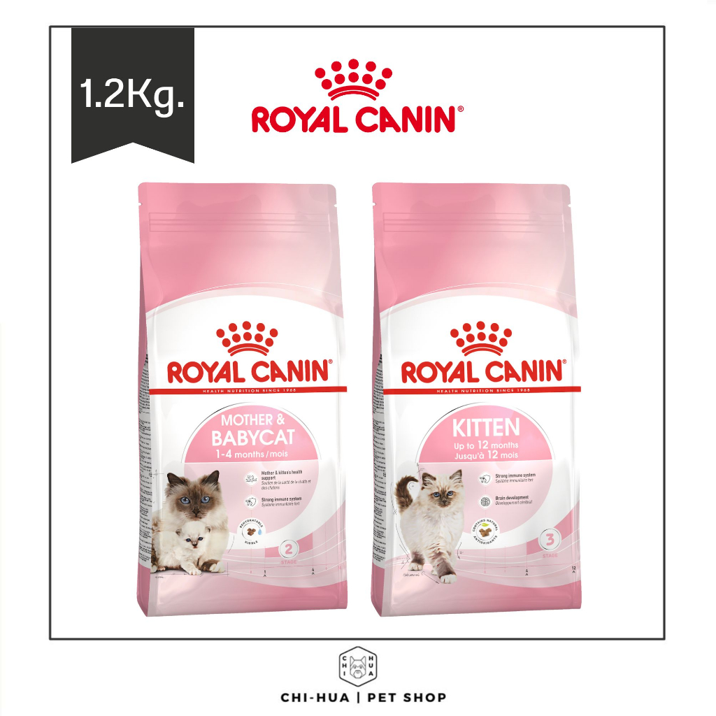 อาหารแมว-โรยัลคานิน-ขนาด1-2kg-royal-canin-ชนิดเม็ด-อาหารลูกแมว-amp-แมวโต