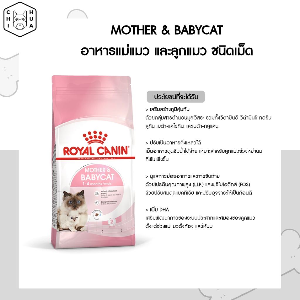 อาหารแมว-โรยัลคานิน-ขนาด400g-royal-canin-ชนิดเม็ด-อาหารลูกแมว-amp-แมวโต