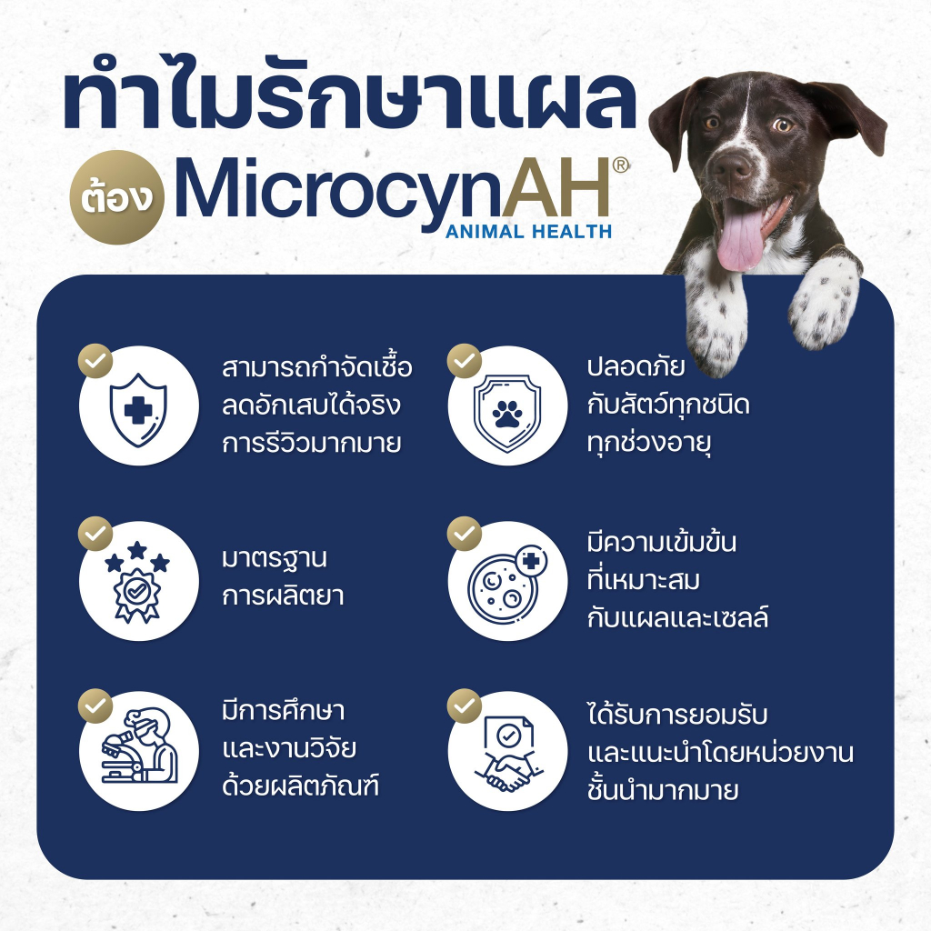 microcyn-สเปรย์ฉีดผิว-59ml