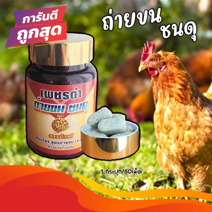 เพชรดำ-สตองโกลด์-ถ่ายขน-ชนดุ-ผลิตภัณฑ์ดูแลขนไก่