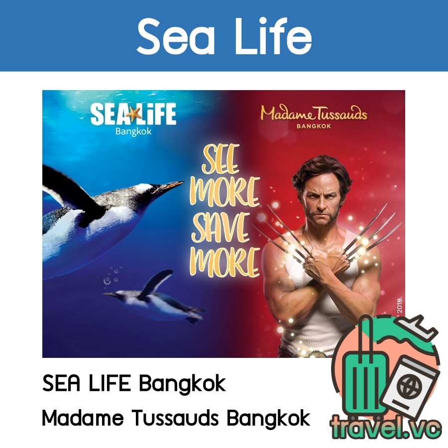 ภาพหน้าปกสินค้าอันดับ1  Sealife Ocean World บัตรเข้าชม สยามพารากอน (ซีไลฟ์ โอเชี่ยนเวิลด์) จากร้าน travel.vc บน Shopee