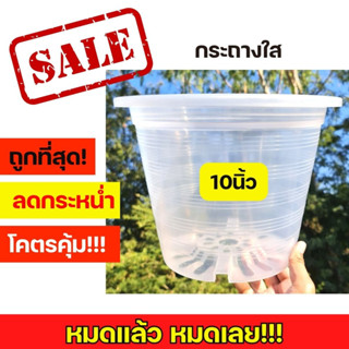 กระถาง 10นิ้ว กระถางใส กระถางต้นไม้ กระถาง กระถางต้นไม้พลาสติกใส กระถางต้นไม้ใส กระถางใสส่องราก