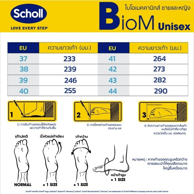 scholl-bean-biomechanics-รองเท้าสกอลล์คีบ-รุ่นบีน-ไบโอเมคานิกส์3u-b2451198-หูสีน้ำเงินแลหูะสีแดงเข้ม