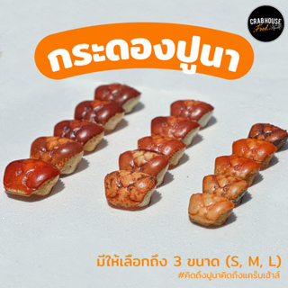 กระดองปูนา 12 กระดอง สีส้มสดใส มีให้เลือกถึง 3 size S M L