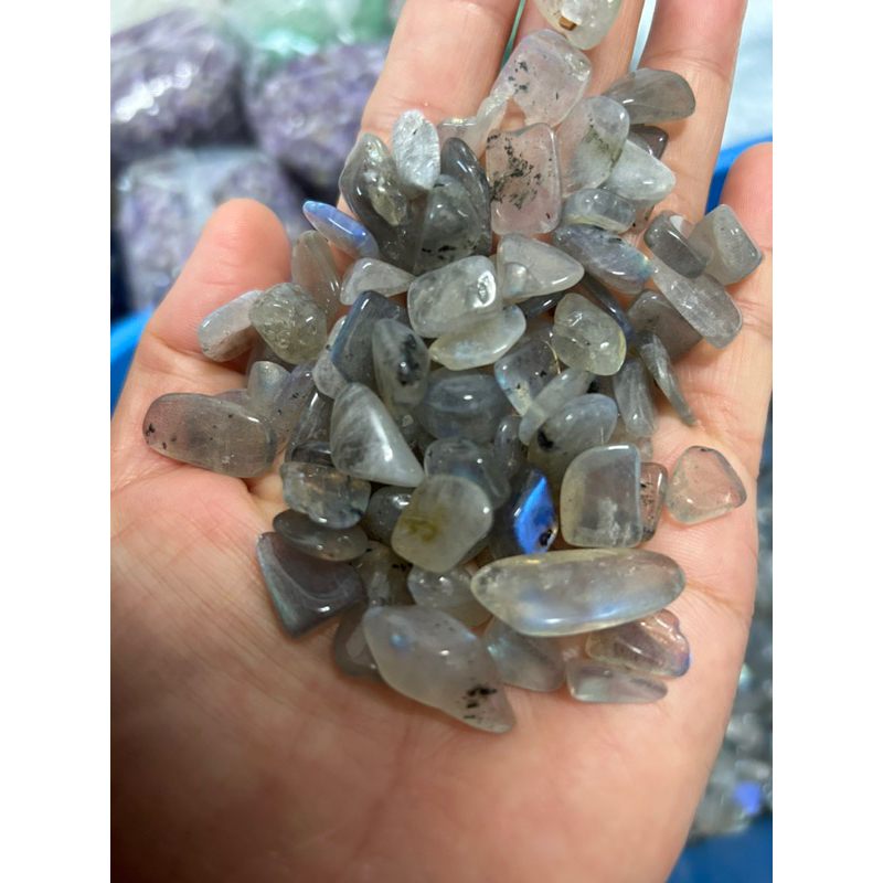 ลาบลาดอไลต์-labradorite-หินพ่อมด8-12มิล-950g-หินแท้-เศษพลอยหินธรรมชาติ-หินนำโชค-หินมงคล-เศษหิน-เศษพลอย-ต้นไม้