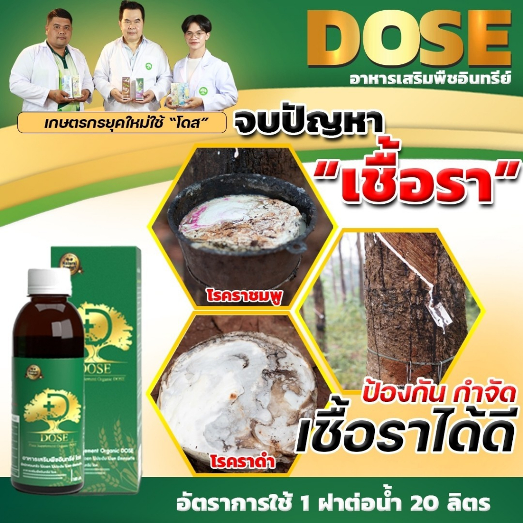 dose-สินค้าเกษตรพรีเมี่ยม-เพิ่มน้ำยาง-3-5-เท่าเห็นผลไว-น้ำยางไหลดี-ผลผลิตดี-แก้หน้ายางตายนึ่ง-เชื้อรา-แถมถุงมือ