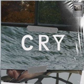 แผ่นเสียง LP The Yers - Cry แผ่นซีล ใหม่ ( รันนัมเบอร์ )