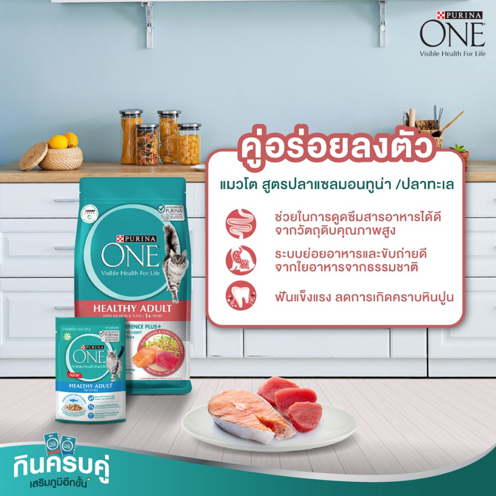 purina-one-เพียวริน่าวัน-ขนาด-1-2-1-4-kg