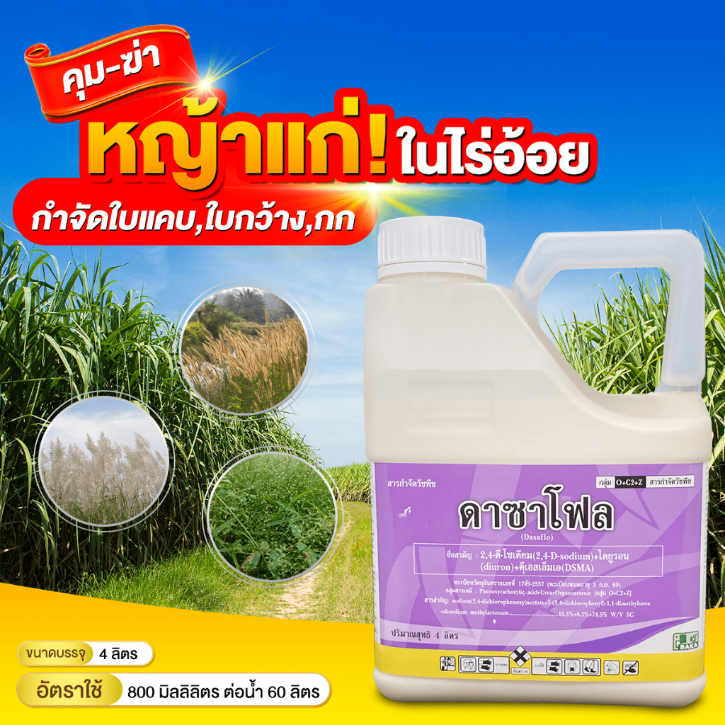 ดาซาโฟล-ขนาด-4-ลิตร-2-4-d-dimethyl-ammonium-สารกำจัดวัชพืชใบกว้าง-กก-ผือ-ในนาข้าว-ไร่อ้อย-ไร่ข้าวโพด