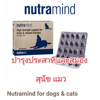nutramide nutravet อาหารเสริมบำรุงสมองสุนัข อาหารเสริมบำรุงประสาทสุนัข อาหารเสริมบำรุงสมองแมว อาหารเสริมบำรุงประสาทแมว