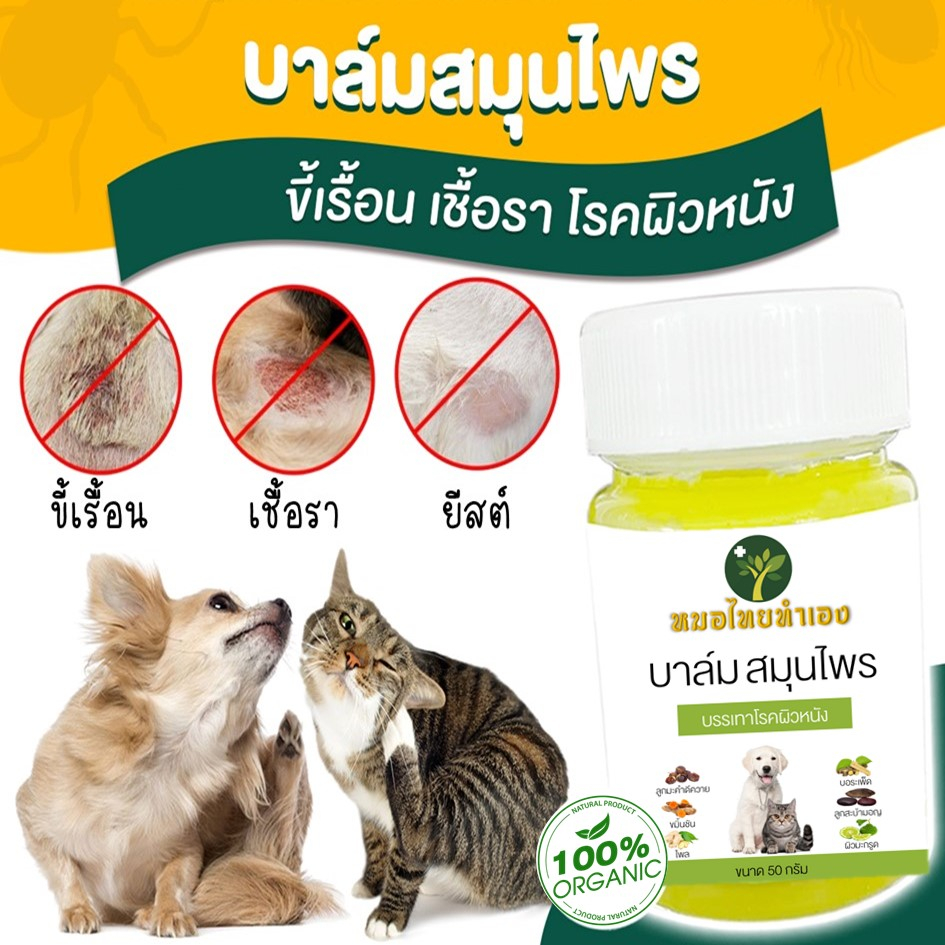ราคาและรีวิวหมอไทยทำเอง บาล์มบรรเทาโรคผิวหนัง ขี้เรื้อนสุนัข เชื้อราแมว ยีสต์ คันเกา แผล 20-50 กรัม สมุนไพร