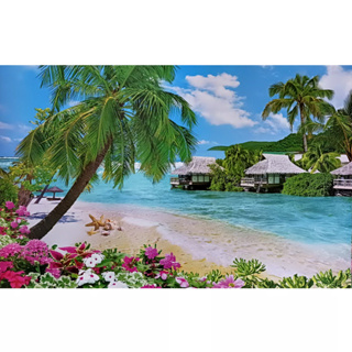 วอลเปเปอร์ รูป ทะเล สวย ๆ ราคาพิเศษ | ซื้อออนไลน์ที่ Shopee ส่งฟรี*ทั่วไทย!