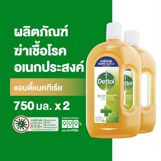 Dettol เดทตอล น้ำยาฆ่าเชื้อเดทตอล น้ำยาฆ่าเชื้อโรค ไฮยีนมัลติ-ยูส น้ำยาถูพื้น 750มล.X2 (แพ็กเกจอยู่ระหว่างการเปลี่ยนแปลง)