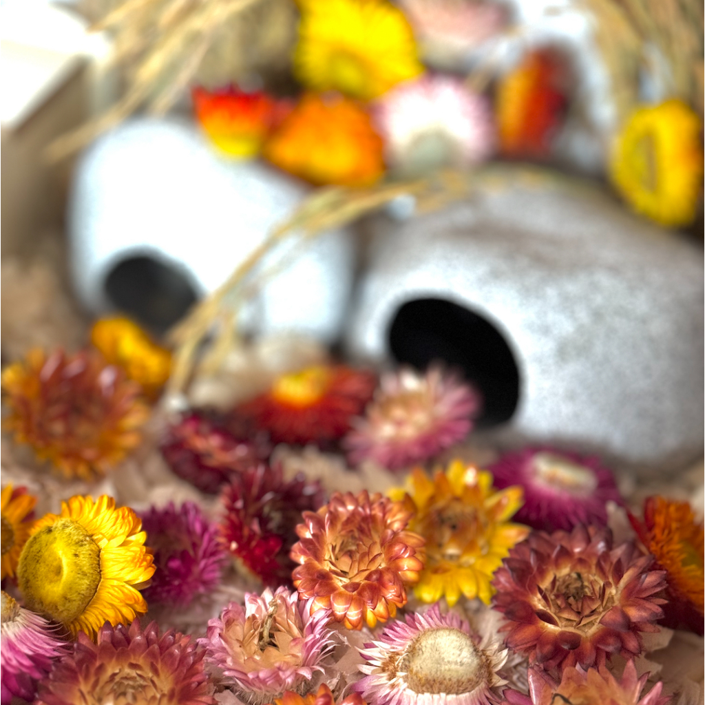 ดอกไม้รองกรงแฮมสเตอร์-เครื่องนอนกลิ่นหอมดอกไม้แห้ง