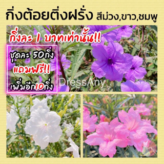 กิ่งต้อยติ่งฝรั่งดอกสีม่วง สีขาว สีชมพู ฟ้าประทานพร คละสีได้ กิ่งละ 1บาท ชุด 50 กิ่ง แถมฟรี 10 กิ่ง