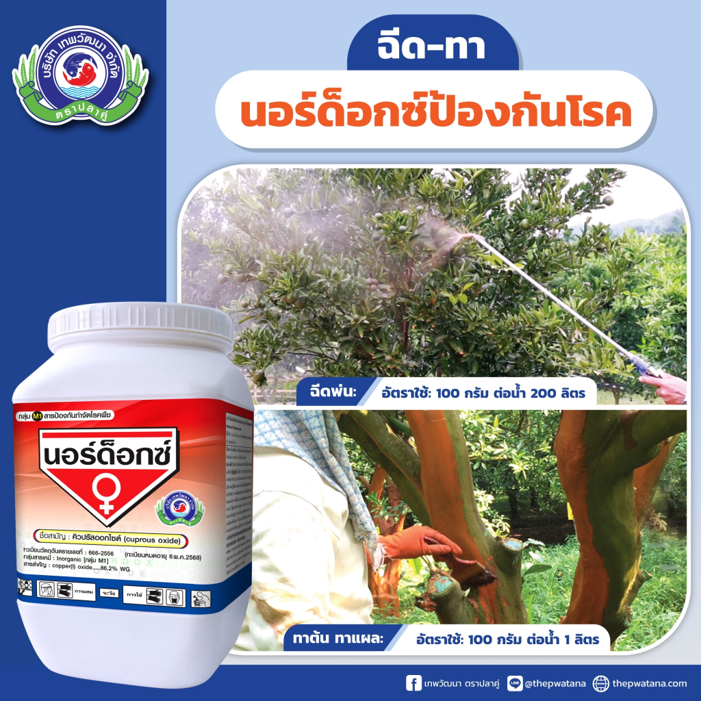 นอร์ด็อกซ์-100g-คิวปรัสออกไซด์-ป้องกันโรค-กำจัดโรค-เชื้อราและแบคทีเรีย-โรคแคงเคอร์-โรคสแคป-โรคกาบใบแห้ง-โรคใบติด