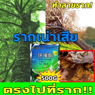 🍂ต้นไม้ร้อยปีเน่าในคืนเดียว🍂BQ ยาฆ่าต้นไม้ ใหญ่ สารกําจัดกอไผ่ 500gกำจัดต้นไม้และไผ่ให้หมดจดยาฆ่ากอไผ่ ยาฆ่าตอไม้