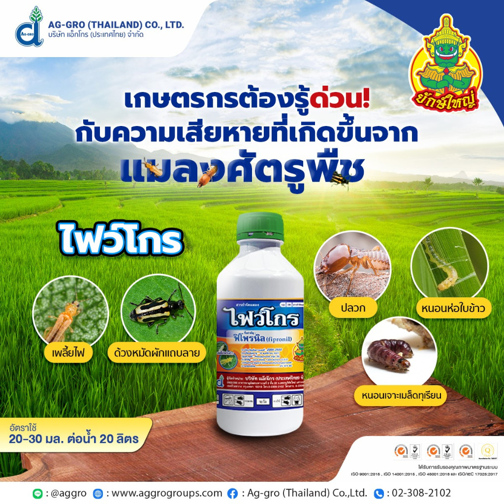 ไฟว์โกร-500ml-ฟิโพรนิล-สารกำจัดแมลง-เพลี้ยไฟ-ปลวก-หนอนชอนใบ-หนอนม้วนใบ-หนอนกอข้าว-หนอนกออ้อย-หนอนเจาะ-ด้วงหมัดผัก